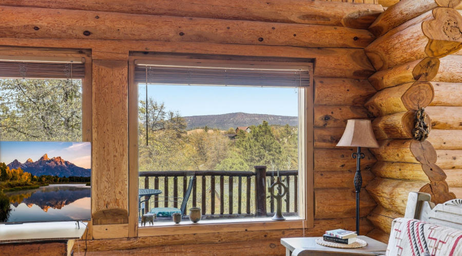 Living Room View
