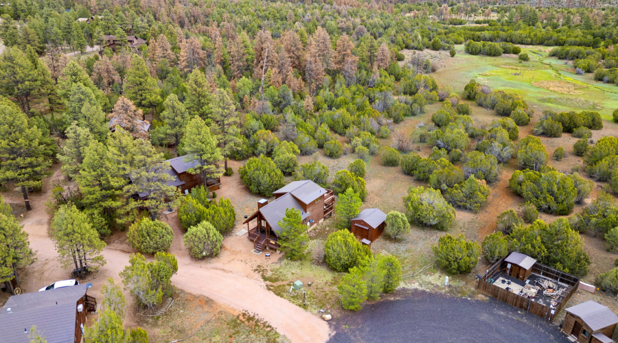 2741 Elk Trail Road, Overgaard, Arizona 85933, Bedrooms, ,Bathrooms,Residential,For Sale,Elk Trail,260668