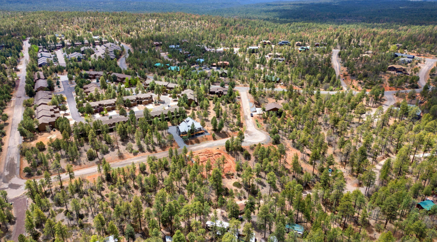 Community View
