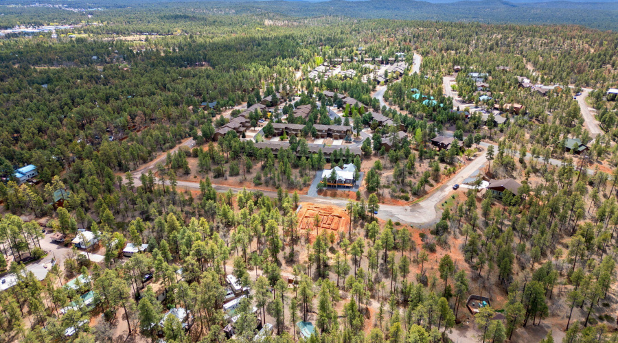 Community View