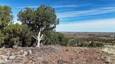 4450 Freedom Circle, Taylor, Arizona 85939, ,Land,For Sale,Freedom,260678