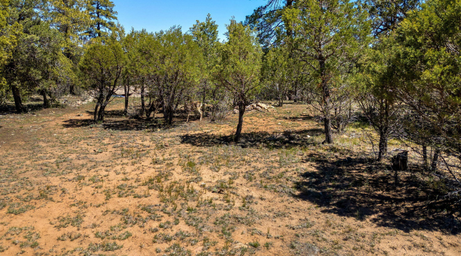 2795SkyhawkDr-Overgaard-AZ-14