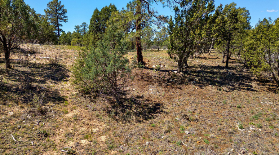 2795SkyhawkDr-Overgaard-AZ-15