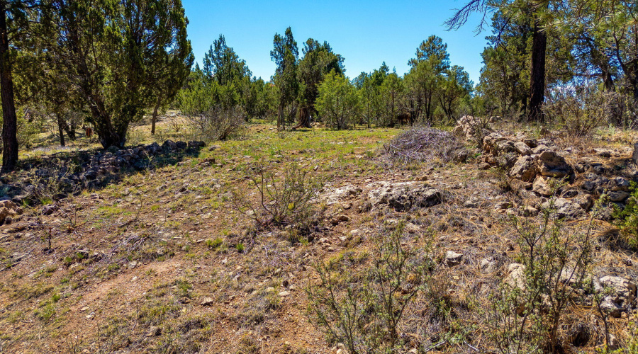 2795SkyhawkDr-Overgaard-AZ-16