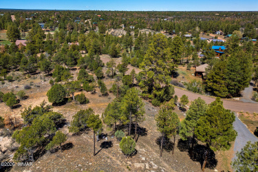 2795 Skyhawk Drive, Overgaard, Arizona 85933, ,Land,For Sale,Skyhawk,260686