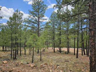 2788 Canyon View Drive, Happy Jack, Arizona 86024, ,Land,For Sale,Canyon View,93866