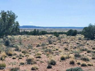 Lot 222 Woodridge Ranch, Concho, Arizona 85924, ,Land,For Sale,Woodridge Ranch,260689