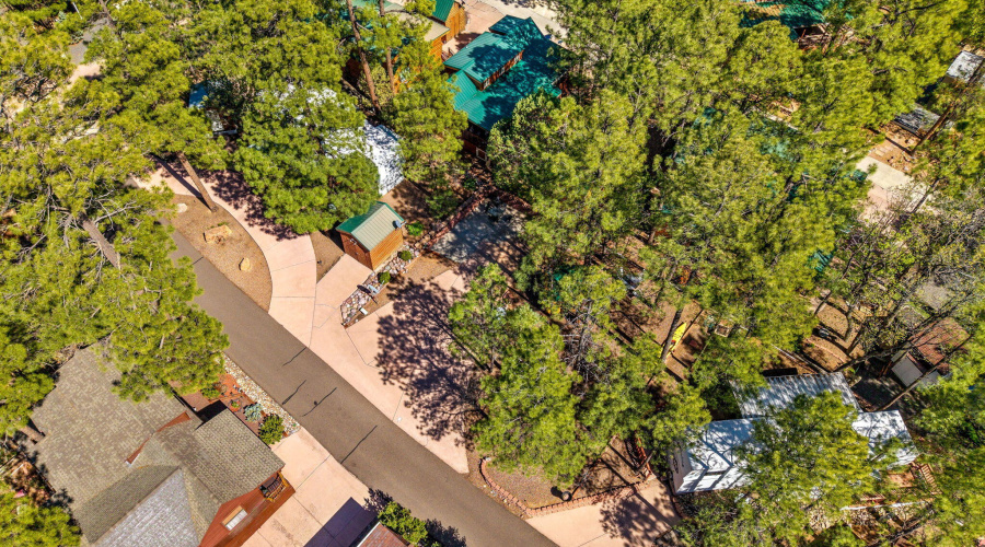 2261HorseshoolLoop-ShowLow-AZ-6