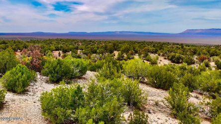 31326 Calle Barril, Seligman, Arizona 86337, ,Land,For Sale,Calle Barril,260706