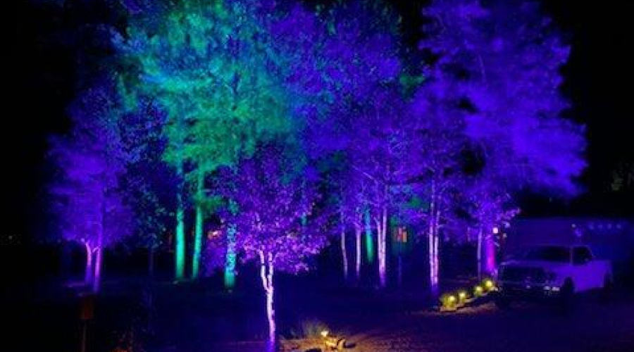 light display