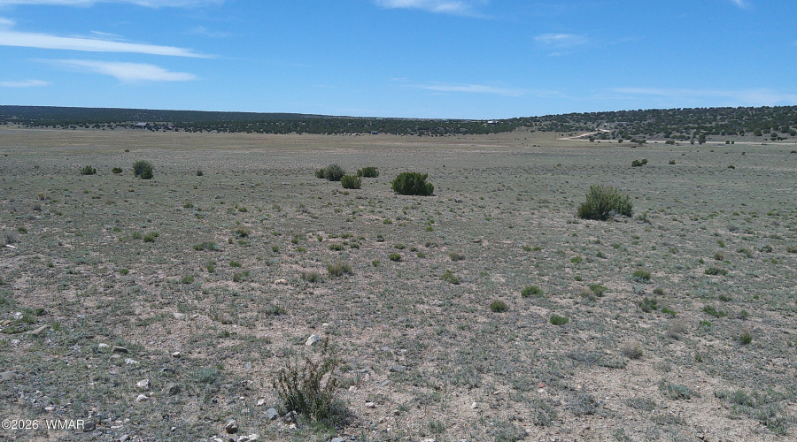 DSCF0037