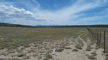 TBD Windsor Valley Ranch 40, Concho, Arizona 85924, ,Land,For Sale,Windsor Valley Ranch 40,260714