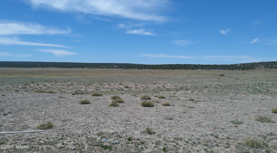 DSCF0029