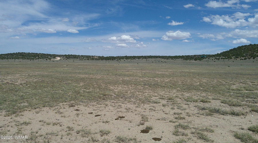 DSCF0036