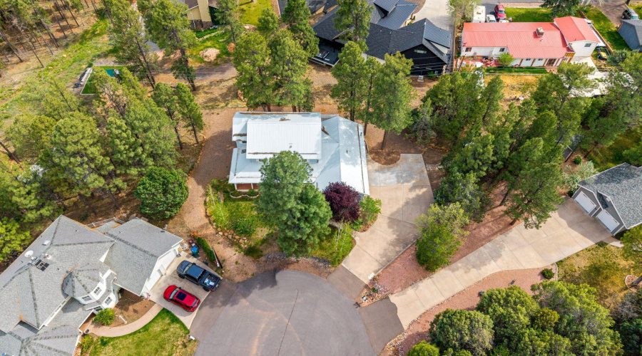 Aerial View of Cul-de-Sac Neighbors