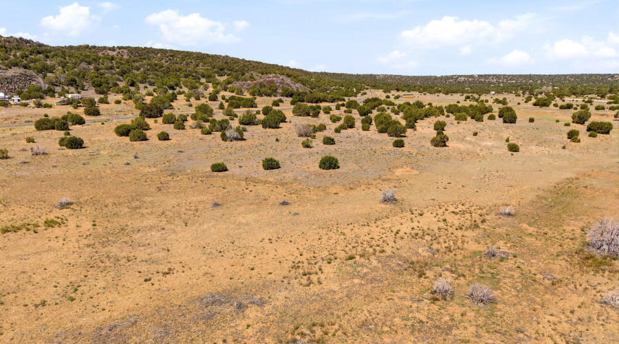 92ACR8206-Concho-AZ-15