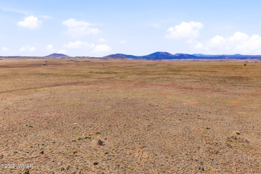 TBD N3527, Concho, Arizona 85924, ,Land,For Sale,N3527,260700