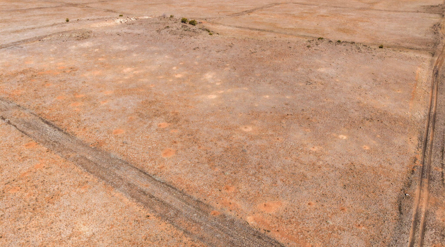 TBDN3527-Concho-AZ-4