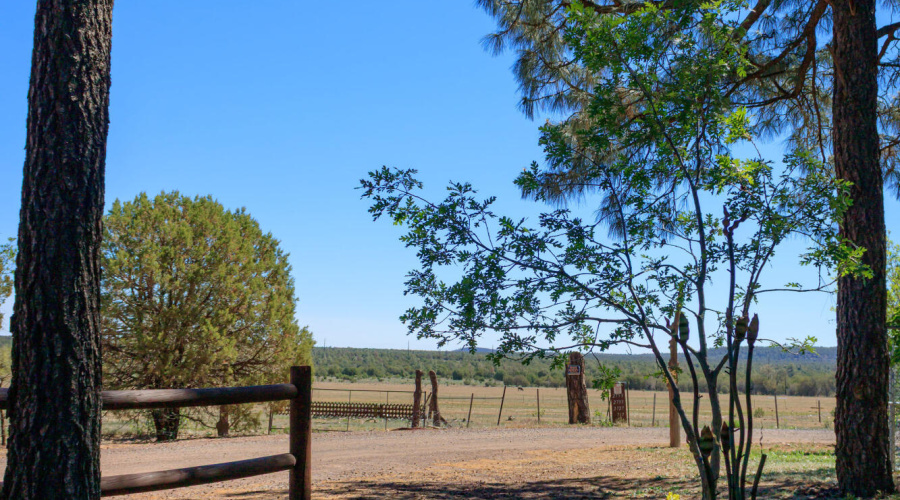 2611 Ellsworth Avenue, Show Low, AZ
