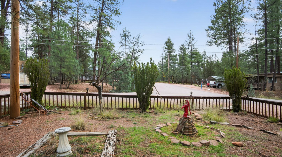 Front Yard Street VIew