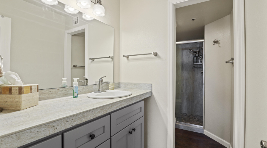Master Bathroom (1)