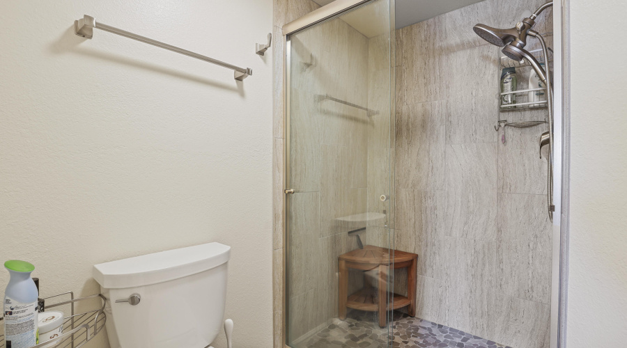 Master Bathroom (2)