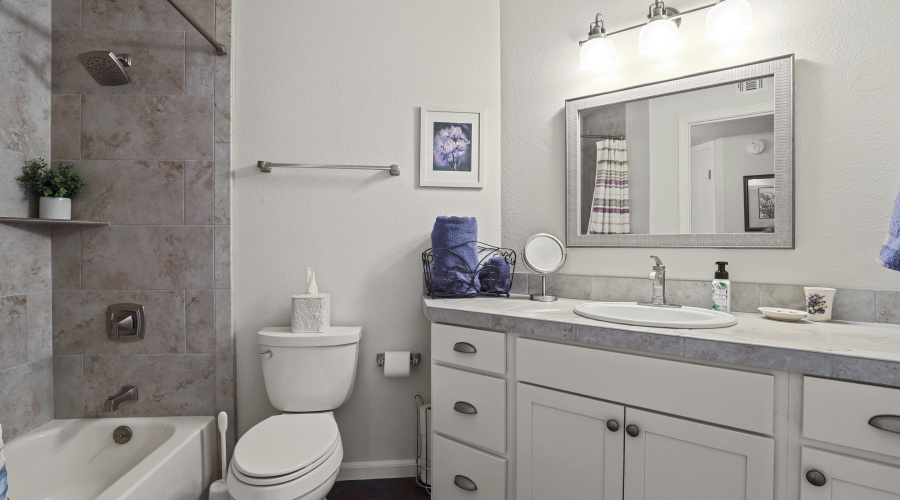 Guest Bathrooms