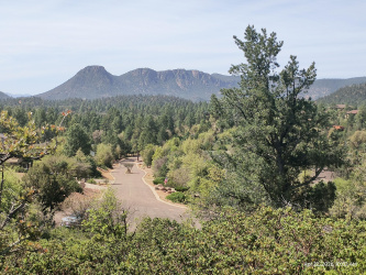 LOT 7 UNION PARK Drive, Star Valley, Arizona 85541, ,Land,For Sale,UNION PARK,93876