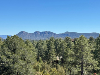 912 Indian Paintbrush Circle, Payson, Arizona 85541, ,Land,For Sale,Indian Paintbrush,93880