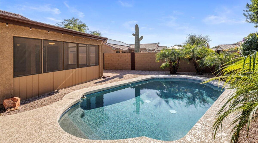 48-IMG_9302