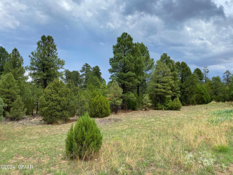 2026 State Route 277, Heber, Arizona 85928, ,Land,For Sale,State Route 277,260729