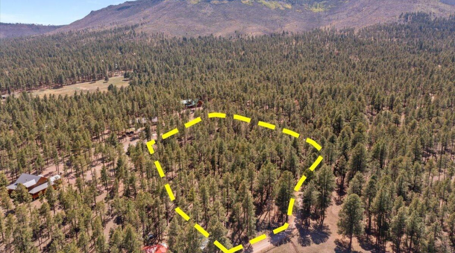 09-DJI_0912