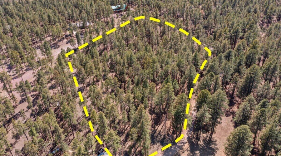 10-DJI_0922