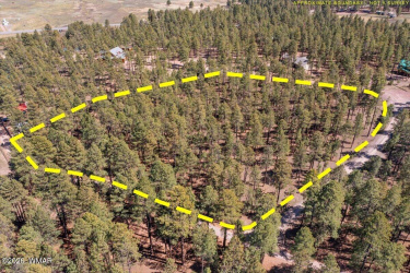 TBD County Road 2325, Alpine, Arizona 85920, ,Land,For Sale,County Road 2325,260720
