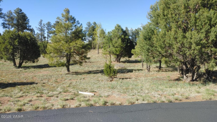 2254 Big Bear Circle, Overgaard, Arizona 85933, ,Land,For Sale,Big Bear,260719