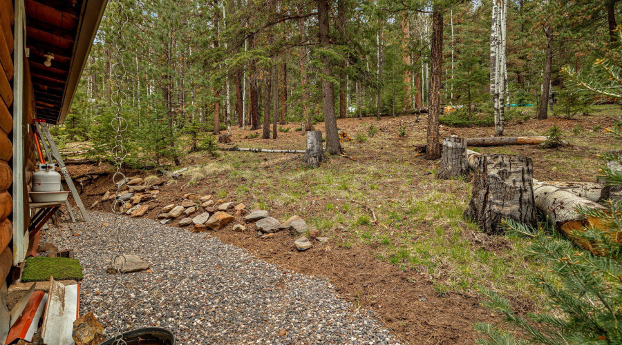 8CoRd1006-Greer-AZ-Ground-18