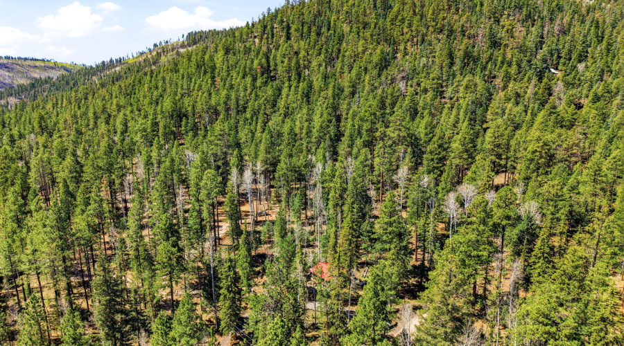 8CR1006-Greer-AZ-4