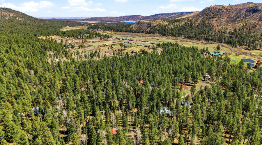 8CR1006-Greer-AZ-7