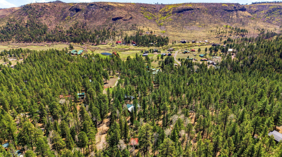 8CR1006-Greer-AZ-8