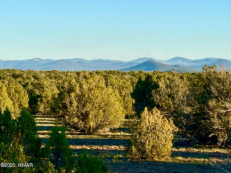 9023 Appaloosa Trl (Lot A) 5 Acres, Show Low, Arizona 85901, ,Land,For Sale,Appaloosa Trl (Lot A) 5 Acres,260382