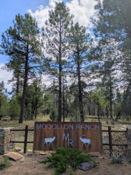 3719 Meadow Wood Drive, Happy Jack, Arizona 86024, ,Land,For Sale,Meadow Wood,92756