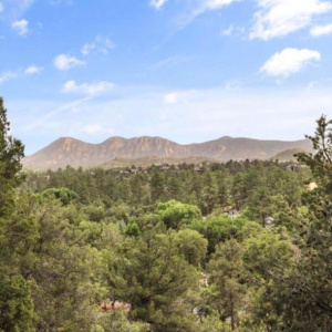 IMG_2168