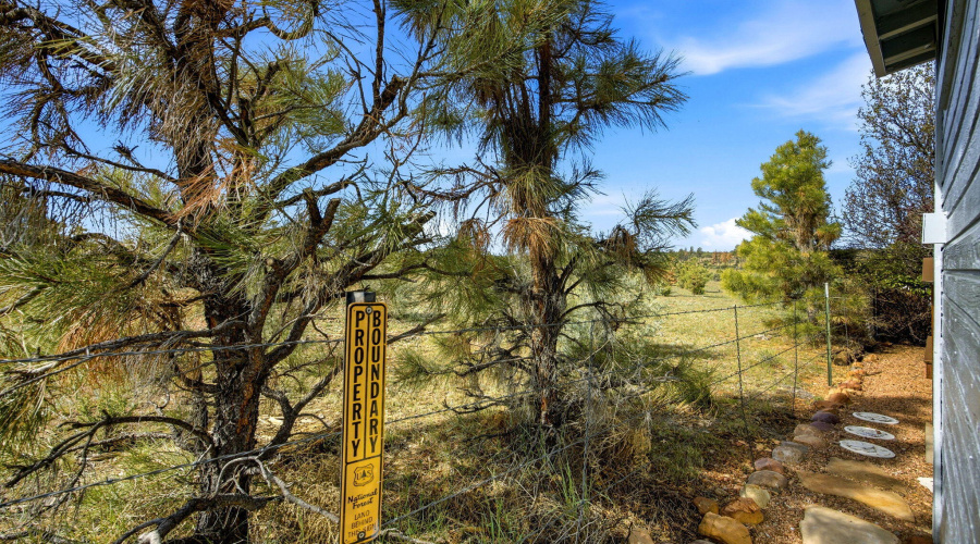 2275OldCrooksTrl-HeberOvergaard-AZ-21