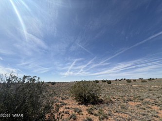 7809 Privette Lane, Snowflake, Arizona 85937, ,Land,For Sale,Privette,260746