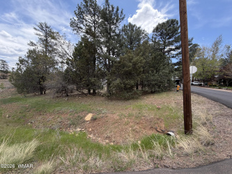261 1st Drive, Show Low, Arizona 85901, ,Land,For Sale,1st,260744