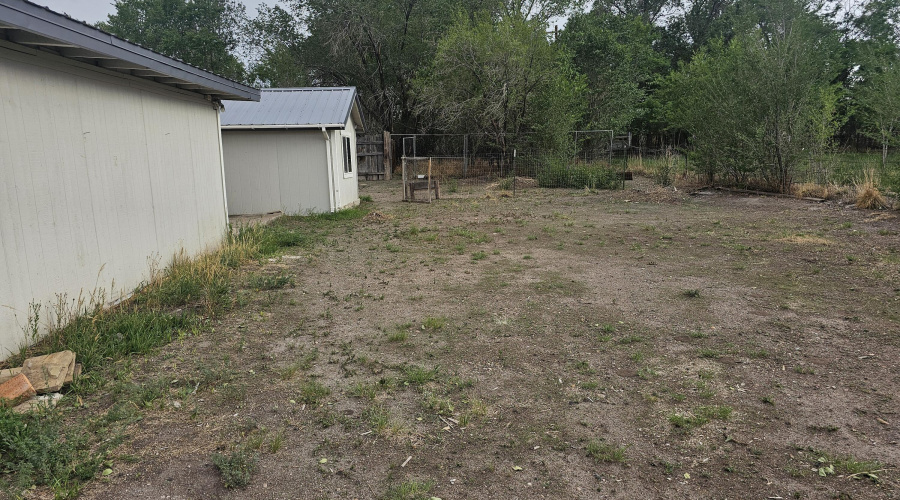 Large Backyard