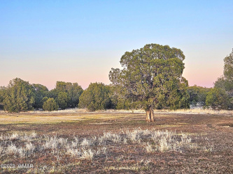 1606 Echo Court, Show Low, Arizona 85901, ,Land,For Sale,Echo,260730