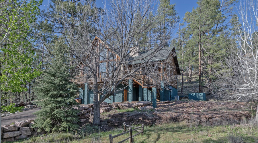 IMG_ 30