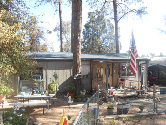 310 Cherry Street, Payson, Arizona 85541, Bedrooms, ,Bathrooms,Residential,For Sale,Cherry,93900