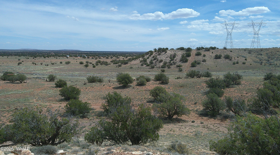 DSCF0005
